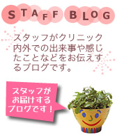 スタッフブログのご案内